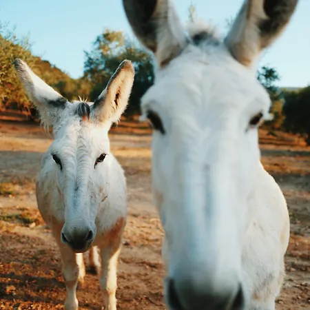 La Marquesa - Country In روندا