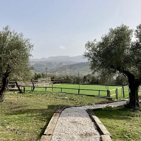 فيلة La Marquesa - Country In *