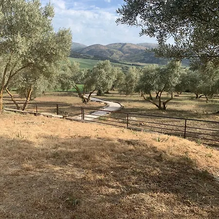 La Marquesa - Country In