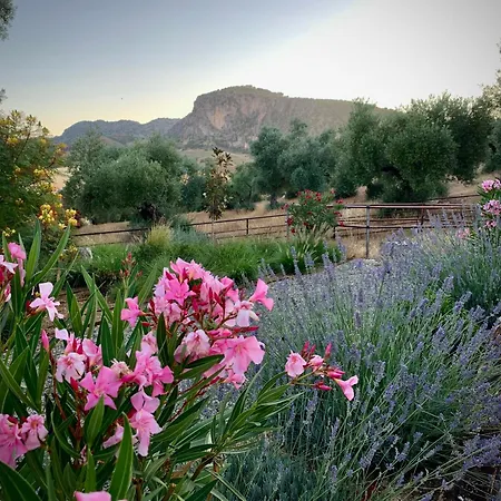 La Marquesa - Luxury In