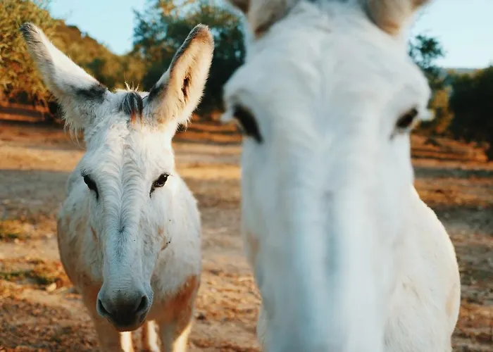 La Marquesa - Luxury In Ronda