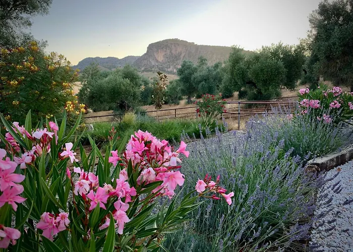 La Marquesa - Luxury In