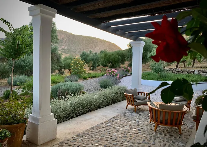 Villa La Marquesa - Luxury In